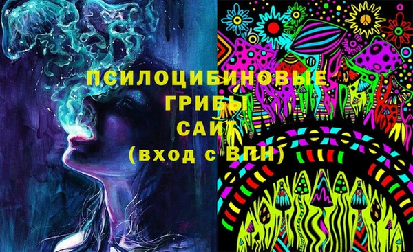 ГАЛЛЮЦИНОГЕННЫЕ ГРИБЫ Балахна