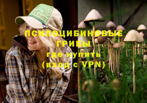 ГАЛЛЮЦИНОГЕННЫЕ ГРИБЫ Балахна